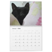 Calendrier (Jan 2026)