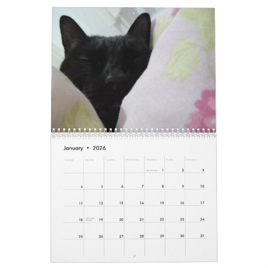 Calendrier (Jan 2026)