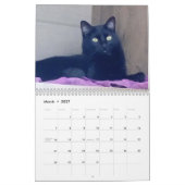 Calendrier (Mar 2027)