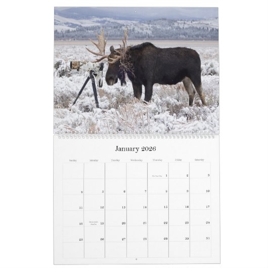 Calendrier (Jan 2026)