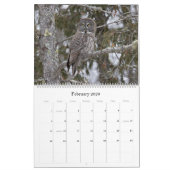 Calendrier (Feb 2026)