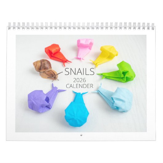 CALENDRIER カレンダー (Protection)