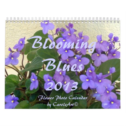 Calendrier 0 2013 Blooming Blues (Protection)