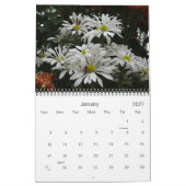 Calendrier 0 2013 Chrysanthemum Art (Jan 2027)