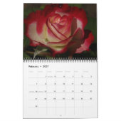 Calendrier 0 2013 roses glorieux (Feb 2027)
