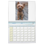 Calendrier 100_5963, j'aime Yorkies ! (Jan 2027)