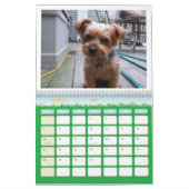 Calendrier 100_5963, j'aime Yorkies ! (Mar 2027)