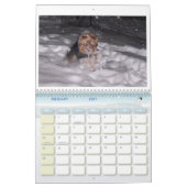 Calendrier 100_5963, j'aime Yorkies ! (Feb 2027)