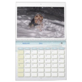 Calendrier 100_5963, j'aime Yorkies ! (Feb 2026)