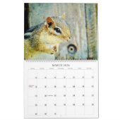 Calendrier 12 mois - Aquarelle de la faune des Chipmunks rayé (Mar 2026)