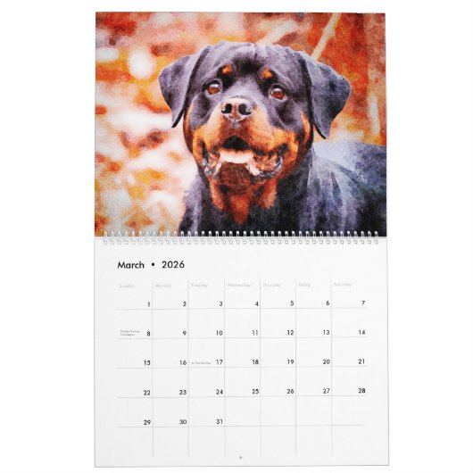 Calendrier 12 mois Beau Rottweiler Chiens Aquarelle Cadeau (Mar 2026)