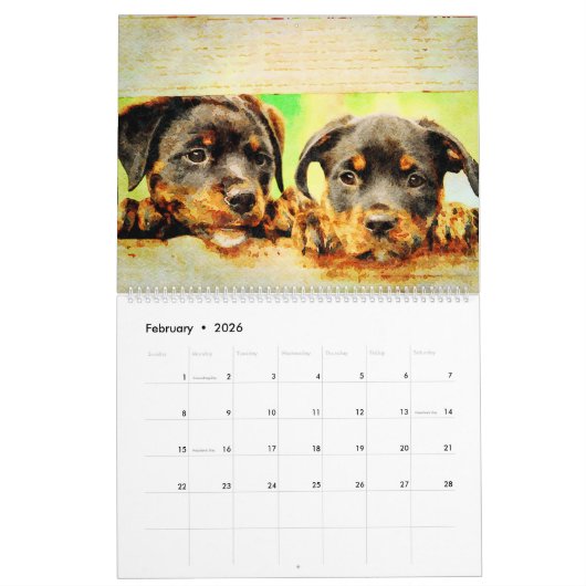 Calendrier 12 mois Beau Rottweiler Chiens Aquarelle Cadeau (Feb 2026)