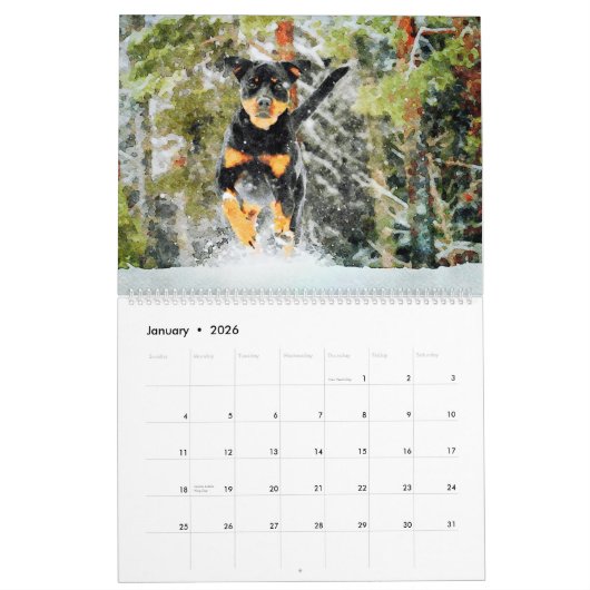 Calendrier 12 mois Beau Rottweiler Chiens Aquarelle Cadeau (Jan 2026)