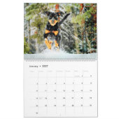 Calendrier 12 mois Beau Rottweiler Chiens Aquarelle Cadeau (Jan 2027)