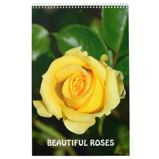 Calendrier 12 mois Beaux Roses (Protection)