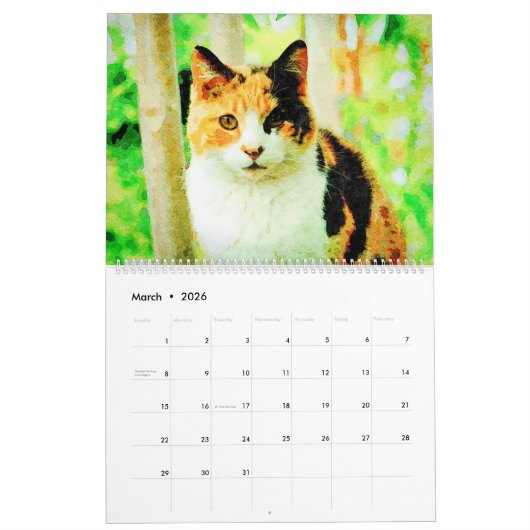 Calendrier 12 Mois Calico Tortoiseshell Chats Aquarelle Cadea (Mar 2026)