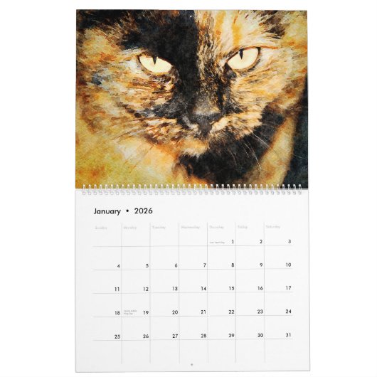 Calendrier 12 Mois Calico Tortoiseshell Chats Aquarelle Cadea (Jan 2026)