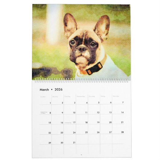 Calendrier 12 Mois Chiens Chiens Français Chiens Aquarelle Ca (Mar 2026)