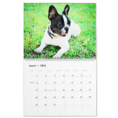Calendrier 12 Mois Cute Boston Terrier Chiens Aquarelle Cadea (Mar 2026)