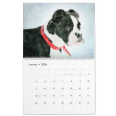 Calendrier 12 Mois Cute Boston Terrier Chiens Aquarelle Cadea (Jan 2026)