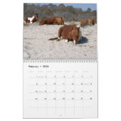 Calendrier 12 Mois d'animaux et de faune, 3e édition (Feb 2026)