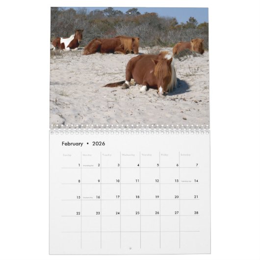 Calendrier 12 Mois d'animaux et de faune, 3e édition (Feb 2026)