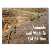 Calendrier 12 Mois d'animaux et de faune, 3e édition (Protection)