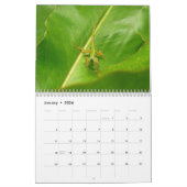 Calendrier 12 Mois d'animaux et de faune, 3e édition (Jan 2026)