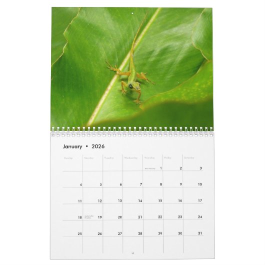 Calendrier 12 Mois d'animaux et de faune, 3e édition (Jan 2026)