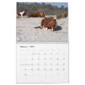 Calendrier 12 Mois d'animaux et de faune Édition 3 (Feb 2027)
