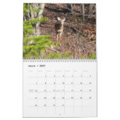 Calendrier 12 mois d'animaux et de photographie de la faune (Mar 2027)