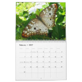 Calendrier 12 mois d'animaux et de photographie de la faune (Feb 2027)