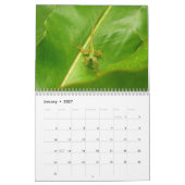 Calendrier 12 Mois d'Animaux et Faune, 3e Édition (Jan 2027)