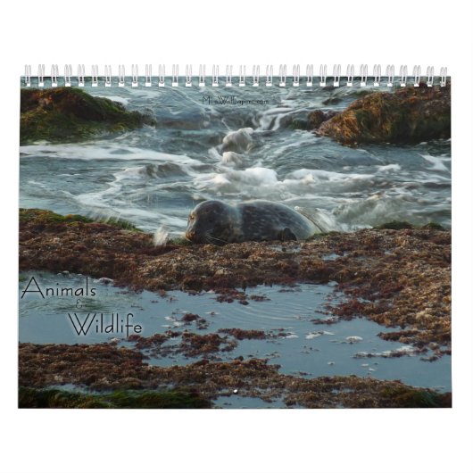 Calendrier 12 Mois d'Animaux et Faune Édition 3 (Protection)