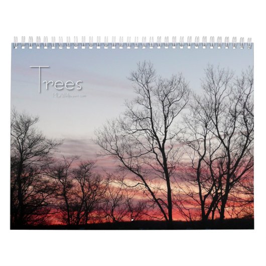Calendrier 12 mois de beaux arbres, 1ère édition (Protection)