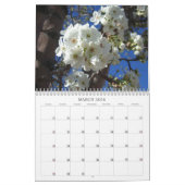 Calendrier 12 mois de beaux arbres, 1ère édition (Mar 2026)