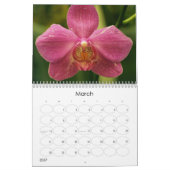 Calendrier 12 mois de belles orchidées (Mar 2027)