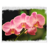 Calendrier 12 mois de belles orchidées (Protection)