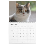 Calendrier 12 mois de Catitude (Mar 2026)