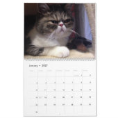 Calendrier 12 mois de Catitude (Jan 2027)