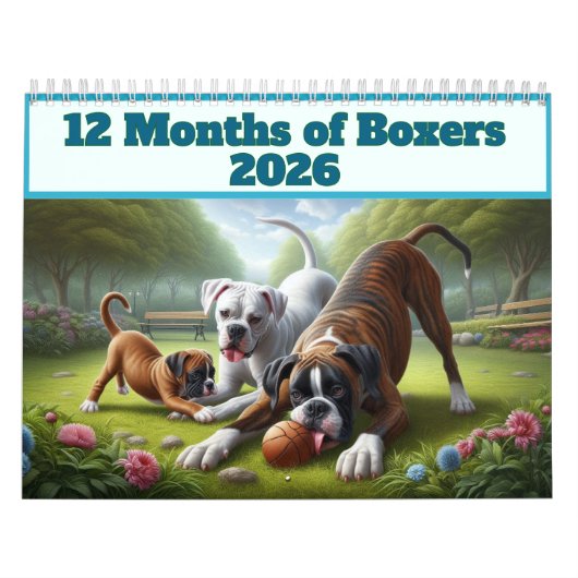 Calendrier 12 Mois de Chiens Boxer : Une Année de Plaisir ave (Protection)