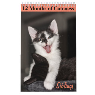 Calendrier 12 mois de cuteness Kittens frères et soeurs