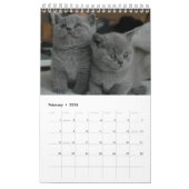 Calendrier 12 mois de cuteness Kittens frères et soeurs (Feb 2026)