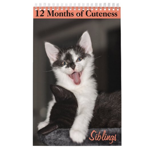 Calendrier 12 mois de cuteness Kittens frères et soeurs (Protection)