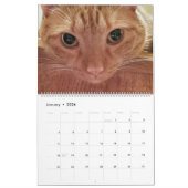 Calendrier 12 mois de Loki et de Tabby Orange Chat (Jan 2026)