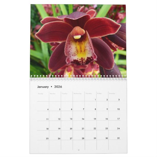 Calendrier 12 mois de photographie florale, 4e édition (Jan 2026)