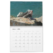 Calendrier 12 Mois de Photographie Tropicale, 2e édition (Mar 2026)