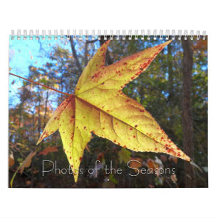 Calendrier 12 Mois de Photos des Saisons, 14e Édition