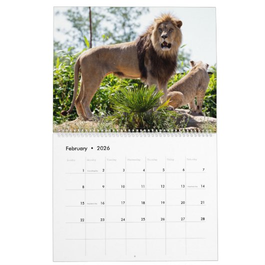 Calendrier 12 mois Famille Lion (Feb 2026)
