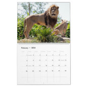 Calendrier 12 mois Famille Lion (Feb 2026)